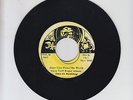 JAH LEE/ JUST CAN'T PLEASE THE WORLD -  AFRICAN BROTHERS (79 REGGAE ROOTS 7