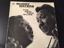 MUDDY WATERS 