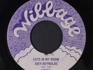 JOEY REYNOLDS: Rats In My Room / Joey Reynolds' Theme 45 (slight center hole da