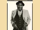 MUDDY WATERS HARD AGAIN LP VINYL 33RPM NEW