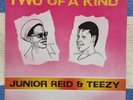 Junior Reid Teezy Two Of A Kind OG NM LP Tamoki Wambesi 1985 Digital Reggae