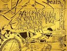 SKRATCHY SEAL aka DJ Q BERT - Skratchy Seal's Training Wheels - Vinyl (LP)