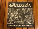 Assuck  Misery Index vinyl   LP
