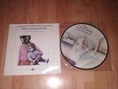 the chameleons script of the bridge PICTURE DISC / the fan & bellows LP SEALED