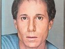 Collected Works (Box Set)  Paul Simon Vinyl Record