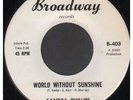 SANDRA PHILLIPS World Without Sunshine 7
