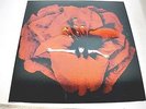 THE SMASHING PUMPKINS - ADORE REISSUE 180 GRAM-LP/Vinyl/Record