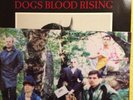 Current 93 Vinyl Earth Covers Dogs Blood Rising In Menstrual Night