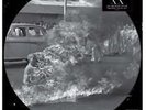 Rage Against the Machine [Picture Disc] [PA] by Rage Against the Machine (Vinyl,