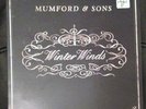 MUMFORD & SONS -Winter Winds- 7