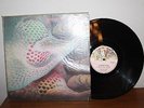 DISQUE VINYLE 33T STRING DRIVEN THING THE MACHINE THAT CRIED CAS 170 1973