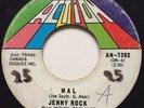 PSYCH FREAKBEAT Jenny Rock MAL Action 45  Quebec mod fuzz KILLER