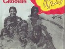 The FLAMIN' GROOVIES * 1971 POWER POP GARAGE PUNK * German 45 * Listen