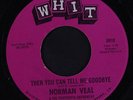 NORMAN VEAL & 13TH AMENDMENT: Then You Can Tell Me Goodbye / That's Me Without