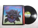 THIN LIZZY   BLACK ROSE   NrM/VG+   1979 UK 1ST PRESS ROCK VINYL LP   TOP AUDIO