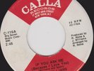 JERRY WILLIAMS - IF YOU ASK ME - 1973 CALLA ISSUE