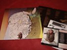 SENSELESS THINGS Empire of the senseless LP +INNER & INSERTS INDIE **SIGNED**