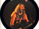 Metallica(Bat Shaped 12
