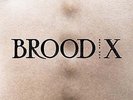 BOSS HOG Brood X LP Vinyl NEW 2017