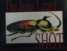 The Jesus Lizard Shot lp red vinyl