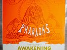 LP: The Pharaohs Awakening  Reissue VG+ Luv N Haight 1996