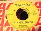 RICKY ALLEN - IT'S A MESS I TELL YOU - BRIGHT STAR RECORDS - NORTHERN SOUL