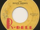 KING JAMES on R-Dell —PRIVATE PROPERTY— r&b blues rocker 45 | RARE | LISTEN