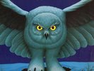 Rush Fly by Night