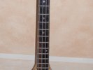 VIOLA BASS GUITAR- (LIKE THE ONE MC CARTNEY PLAYS) + HARD SHELL CARRYING CASE