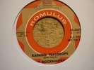northern soul rockmasters raining teardrops romulus usa orig