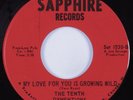 Crossover Sweet Soul/Funk 45 TENTH DYMENTIONS My Love For You....SAPPHIRE HEAR