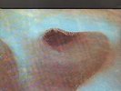 PINK FLOYD - meddle LP