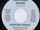 Modern Soul Funk 45 BURNING DESIRE Why She Had To Go CHARISMA HEAR