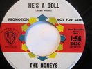 The Honeys - RARE SURF  ( Brian Wilson ) - He's A Doll - EX - Warner Bros 45