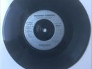 Smashing Pumpkins Siva: Rhinoceros Promo Only 7