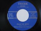 Connie McGill & The Visions–I Wanna Be Yours/Peace Of Mind 7
