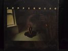 COPPERHEAD.1973..SELF TITILED LP. LED BY JOHN CIPOLLINA, SOUTHERN ROCK BAND MINT