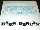 SALT CREEK BAND Barn Dancin LP PRIVATE MN COUNTRY ROCK STILL SEALED