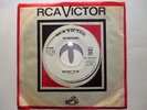 The Bruthers RCA 8920 Promo  Bad Way To Go b/w Bad Love  60's Snotty Punk