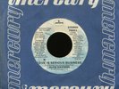 ALFIE DAVISON Love is Serious Business on Mercury Promo Rare 70's Soul 45 Hear