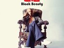 Love-Black Beauty  VINYL NEW