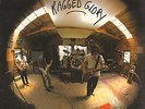 NEIL YOUNG & CRAZY HORSE-LP- RAGGED GLORY- ORG. REPRISE-GERMANY- 1990-MINT