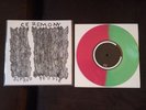 Ceremony Scared People B9 Ruined Rohnert Park Friends Press