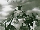 Presto by Rush (Vinyl, Oct-2015, Atlantic (Label))