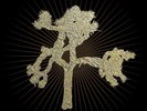 U2 'Joshua Tree' 30th Anniversary Super Deluxe (Pre Order VINYL Box Set)