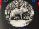 DESTROYER 666 Unchain The Wolves Color Limited