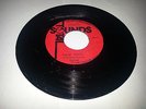TOTAL SOUNDS/FALSE RASTA - GAYLADS [ROOTS REGGAE] 7