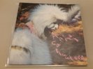 ANIMAL COLLECTIVE Who Could Win A Rabbit 7
