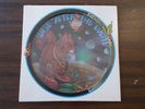 Anthony Phillips ?Wise After The Event picture disc 1978 Passport Genesis