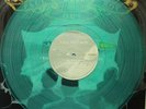 Fall Out Boy From Under Cork Tree Coke Bottle Clear Blue Colored Vinyl Record LP